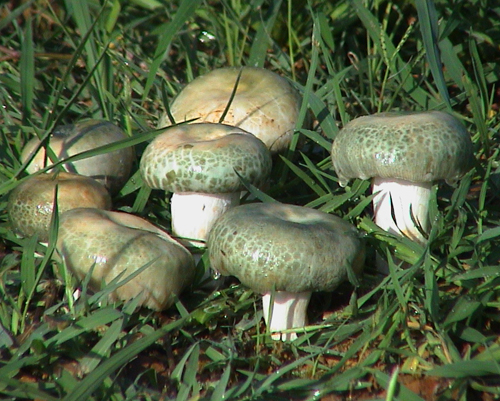 ���r���^��