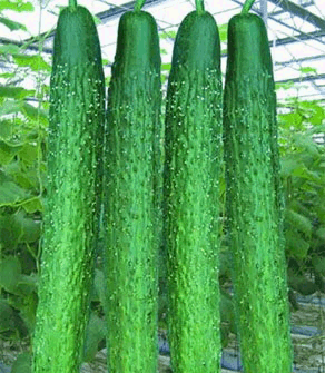 ���r��(y��u)�|(zh��)���S��