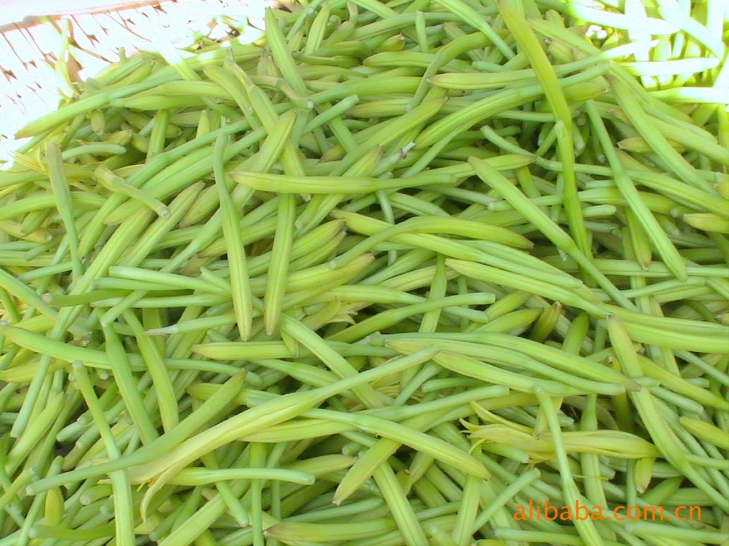 ���r��(y��u)�|(zh��)�r�S��